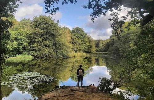 Summerhouse @ 73 (Forest of Dean) Gloucestershire - Foto 4