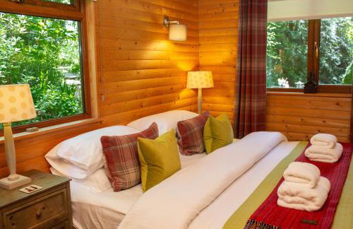Fiddlers Green Log Cabin Tenby - Foto 4