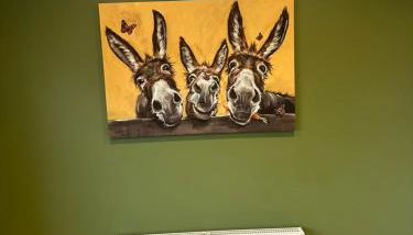 Modern 3 bed house - Foto 3