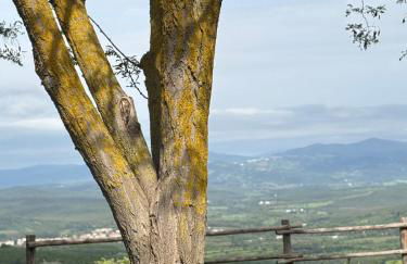 LA CAPANNA Casale in pietra con piscina - Foto 38