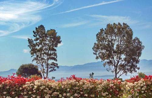 Cavos Fokidos - Foto 68