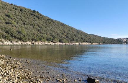 Apartments Giana - Foto 3