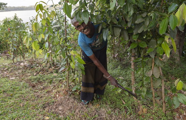 Serendipity Lake - Hikkaduwa - Photo 47