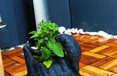 Accessible Luxury - Foto 55