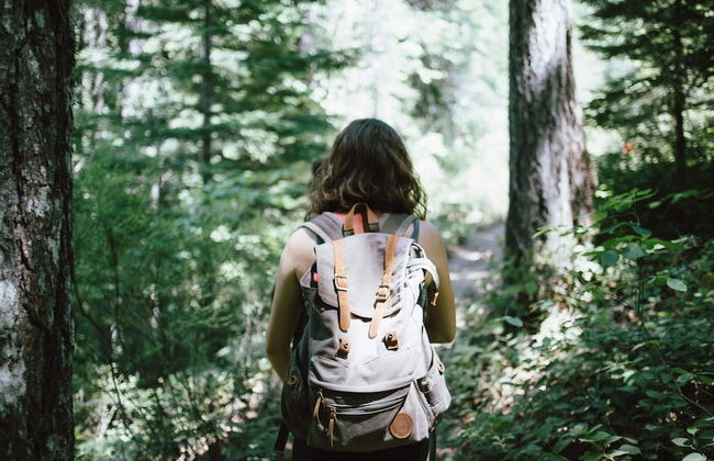 5 Person Holiday Home in Aseda - Foto 22