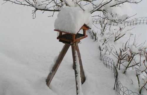 Fewo TaLuLa - Sauerland mit Hund - Foto 33