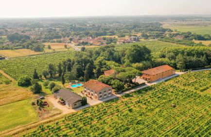 Tenute di Badia - Foto 10