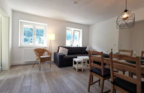 Ferienwohnungen Flussufer - Neckargemünd Altstadt - Foto 38