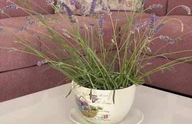 Casa Bellavista - Foto 31