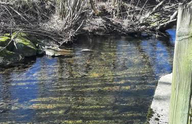 Aux Abords du Ruisseau - Foto 9