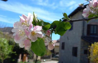 La Pomella - Foto 37