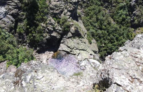 Casa do Forno - Foto 42