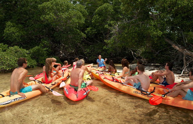 Kayak y paddle surf en Cayo Hueso + Snorkel - Foto 6