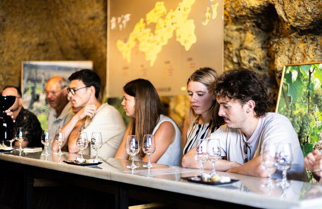 "BODEGAS AMBACIA", Tour y Cata de Vinos en Amboise, Valle del Loira - Foto 17