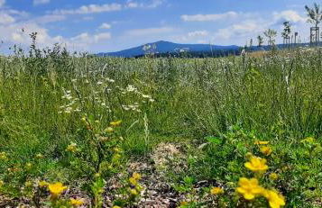 Ferienwohnung Fichtelgebirge - Foto 16