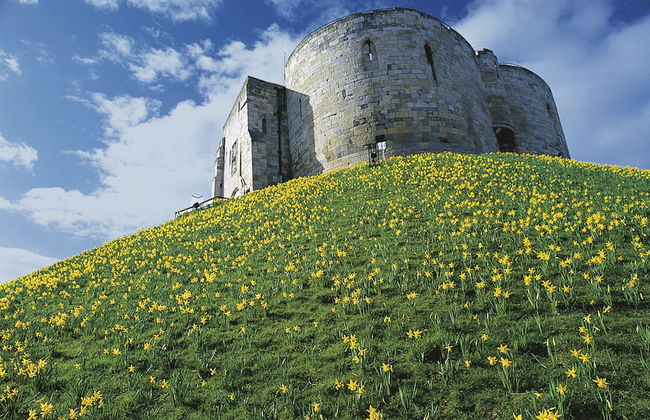 Serenity Inn the City - Photo 5