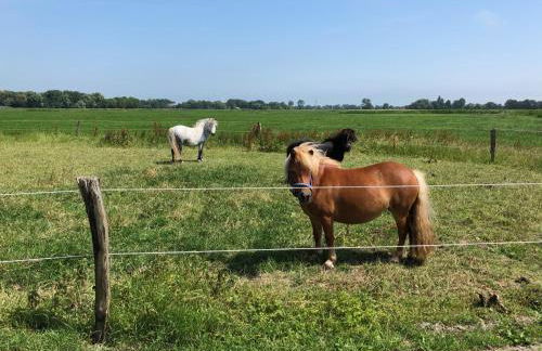 Minsener Warft - Photo 45