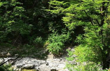 Wellnessoase mit Sauna und Whirlpool - Foto 47