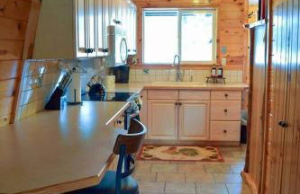 Cozy Bear Cabin Getaway - Foto 7