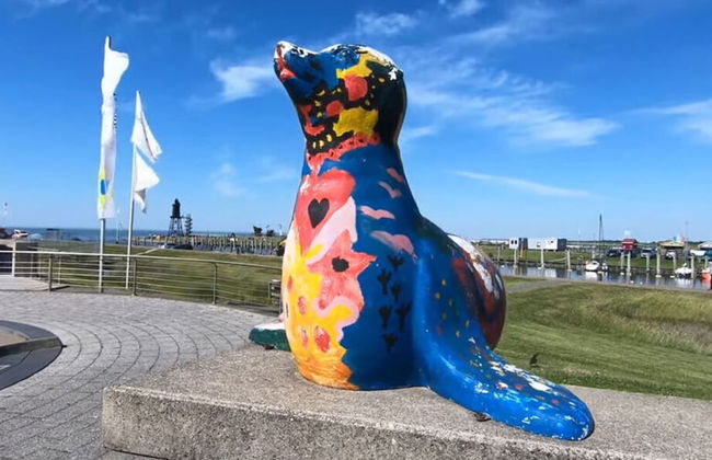 Sun, Mudflats and sea - Foto 38