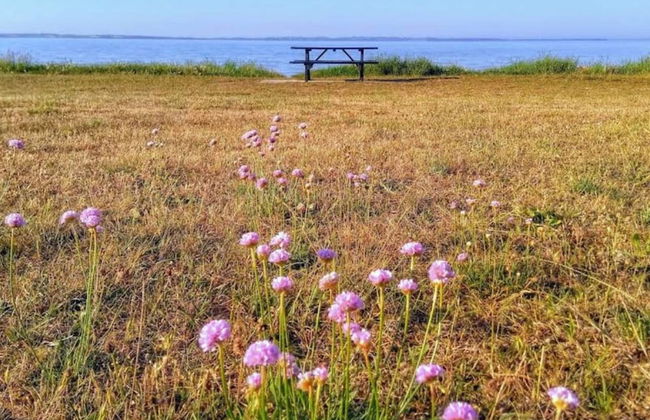 6 Person Holiday Home in Ronde - Foto 12