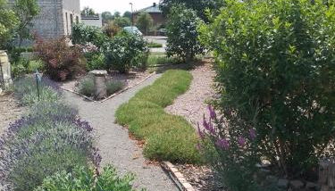 Uckermark "Ferienwohnung Sommerfugl " - Foto 3, Garden, Garden view