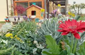 Residence delle Tre Corone - Photo 50