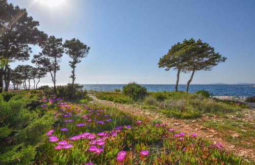 Apartment Ivan - Photo 23