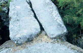 A Lagosta Perdida - Foto 31