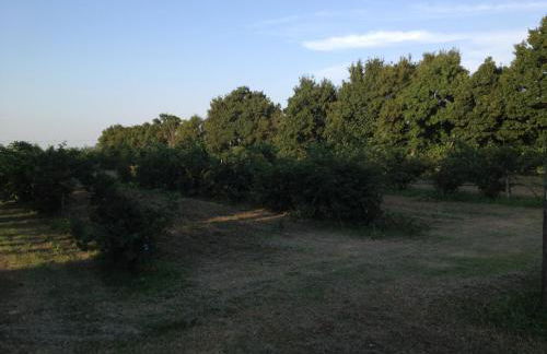 Società agricola le more Agriturismo La Dondina - Photo 15