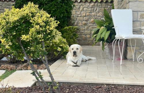 CHALET VELA Natura e Relax - Foto 41