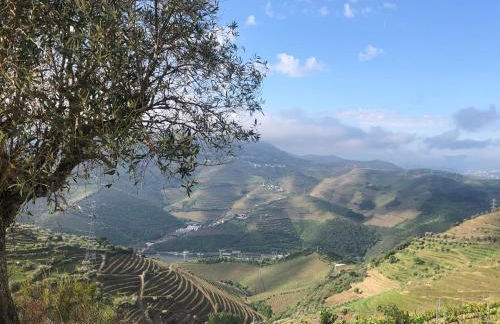 Quinta do Barrocal - Casa de Campo - Foto 21