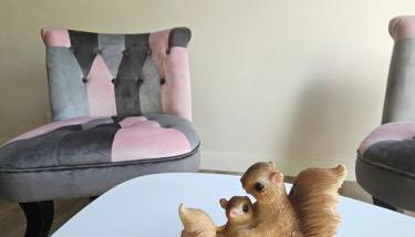 Le Petit Ecureuil charmant gîte jardin terrasse - Foto 3