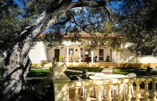 Villa with great pool dog friendly - Foto 23