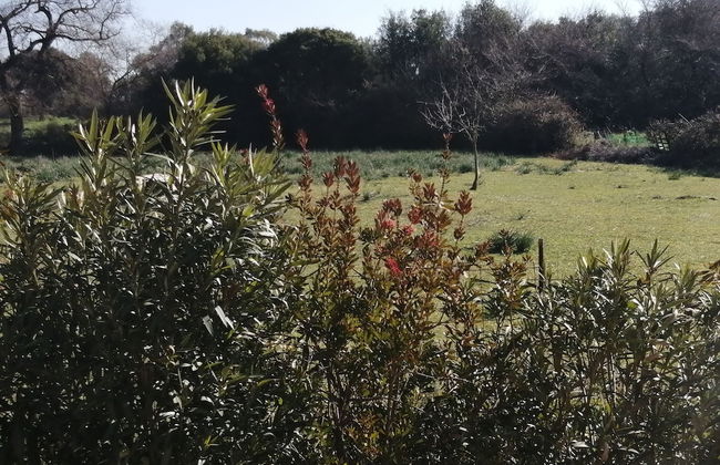 Helen's family home - Photo 34