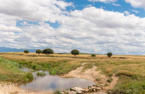 LA CASA DEL BUHO - Foto 25