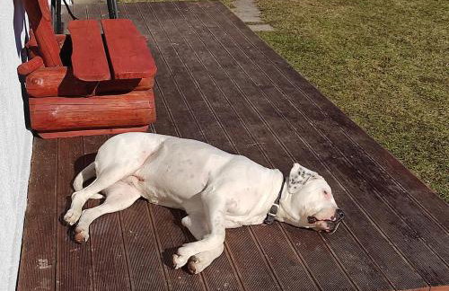 Willa Osada Pogodno - Foto 35