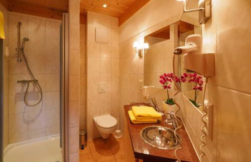 Holiday Apartements by Hotel Grüner Baum Feldberg - Foto 14