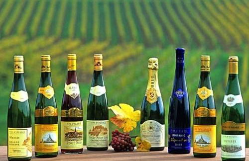 Expérience unique Explorer 3 pays depuis le même logement - Foto 36