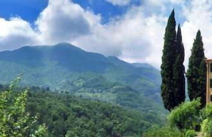 Agriturismo Casa del Bosco - Foto 48