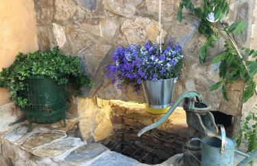 La Lechería de Daniela - Foto 8