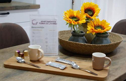 Apartamentos Tierra Lavanda - Foto 72