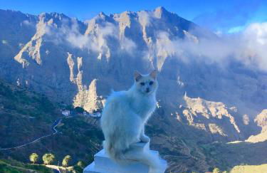 Sweet Home Masca - Foto 6