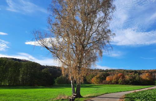 Ferienwohnung Odenwaldflair - Photo 7