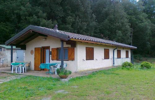 L' Amabile Geko - Foto 19