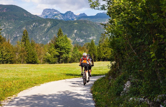 Alpine Chalet Metka at Lake Bohinj - Foto 27