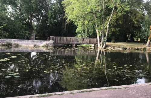 Maison au pied du château - Foto 22