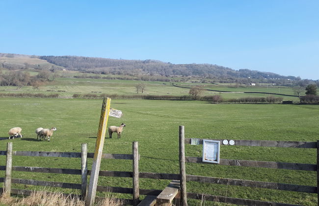 Wensleydale Glamping Pods - Foto 20