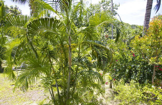 Villa Avalon - Foto 27