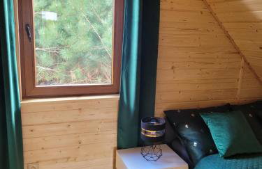 Dom pod brzozą-urowo - Foto 15